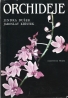 Jindra Dušek- Orchideje