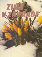 Kolektív: Zima v záhrade