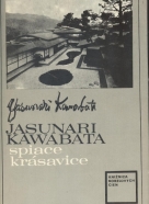 Jasunari Kawabata: Spiace krásavice