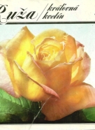 Kolektív autorov: Ruža - kráľovná kvetín