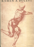 Karel Schulz-Kameň a bolesť