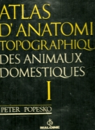 Peter Popesko-Atlas D anatomie topographique des animaux domestiqueseter Popesko-