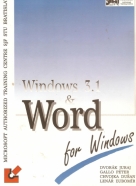 J.Dvorák a kolektív- Windows 3.1 & Word